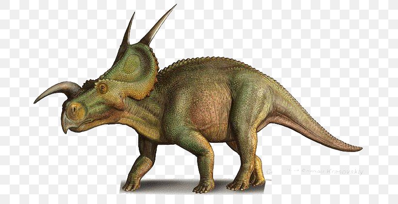 Einiosaurus Pentaceratops Late Cretaceous Dilophosaurus Achelousaurus, PNG, 700x420px, Einiosaurus, Achelousaurus, Archosaur, Art, Ceratopsidae Download Free