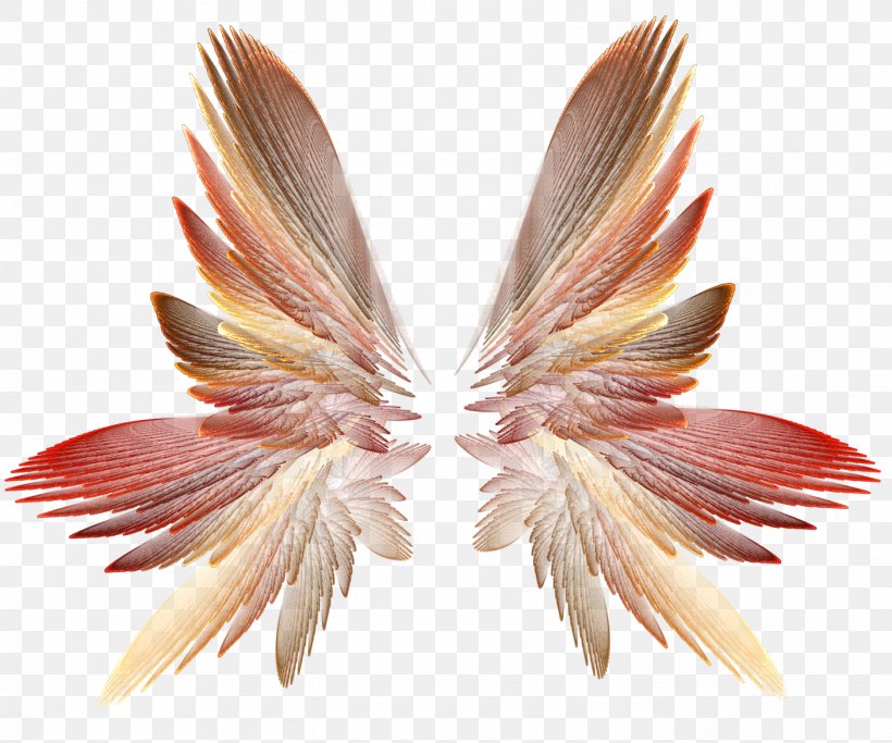 Wing Clip Art, PNG, 1407x1173px, Wing, Computer Software, Feather, Moths And Butterflies, Photography Download Free
