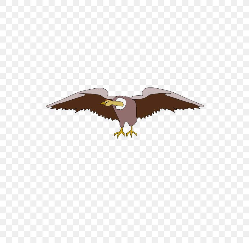 Bald Eagle Clip Art Vector Graphics Drawing, PNG, 566x800px, Bald Eagle, Accipitriformes, Beak, Bird, Bird Of Prey Download Free