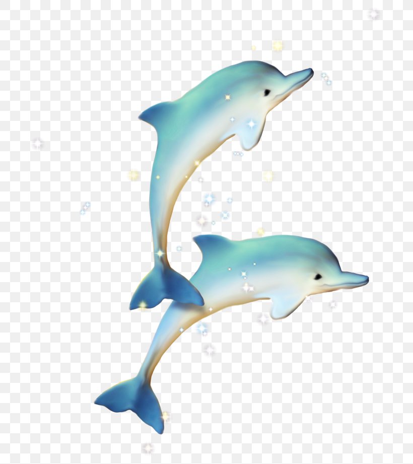 Common Bottlenose Dolphin Short-beaked Common Dolphin Tucuxi, PNG, 729x921px, Common Bottlenose Dolphin, Beak, Blue, Dolphin, Fauna Download Free