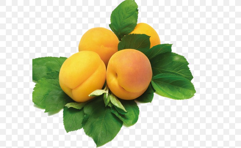 Nutrient Apricot Health Food Diet, PNG, 600x505px, Nutrient, Apricot, Betacarotene, Carotene, Citrus Download Free