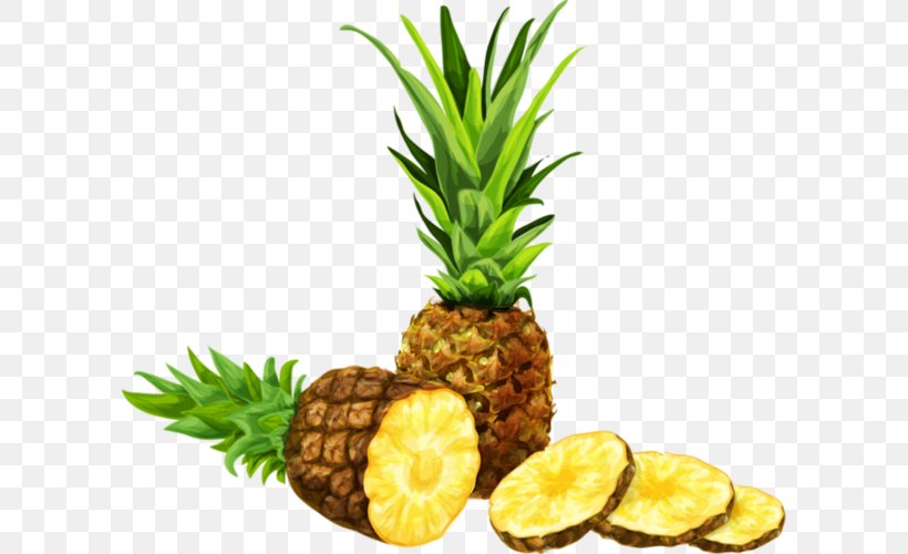 Pineapple Juice Pineapple Juice Orange Juice, PNG, 600x500px, Juice, Ananas, Bromeliaceae, Diet Food, Drawing Download Free