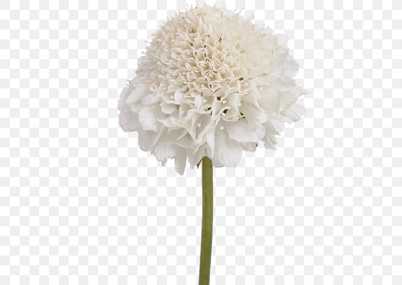 Cut Flowers Artificial Flower Flower Bouquet Hydrangea, PNG, 559x580px, Cut Flowers, Artificial Flower, Floristry, Flower, Flower Bouquet Download Free