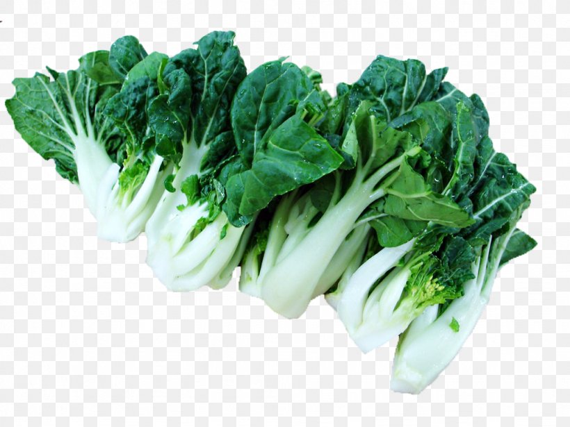 Bok Choy Napa Cabbage Chinese Cabbage Vegetable, PNG, 1024x768px, Bok Choy, Bamboo Shoot, Brassica, Brassica Oleracea, Brassica Rapa Download Free