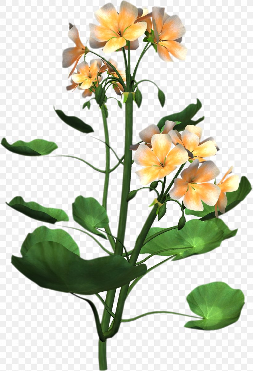Plant Anatomy Flower Clip Art, PNG, 1091x1600px, Plant, Alstroemeriaceae, Annual Plant, Art, Branch Download Free