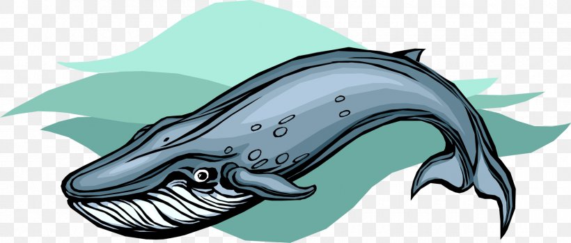 Porpoise Whale Cetacea Dolphin Marine Mammal, PNG, 2400x1023px, Porpoise, Animal, Automotive Design, Cetacea, Dolphin Download Free