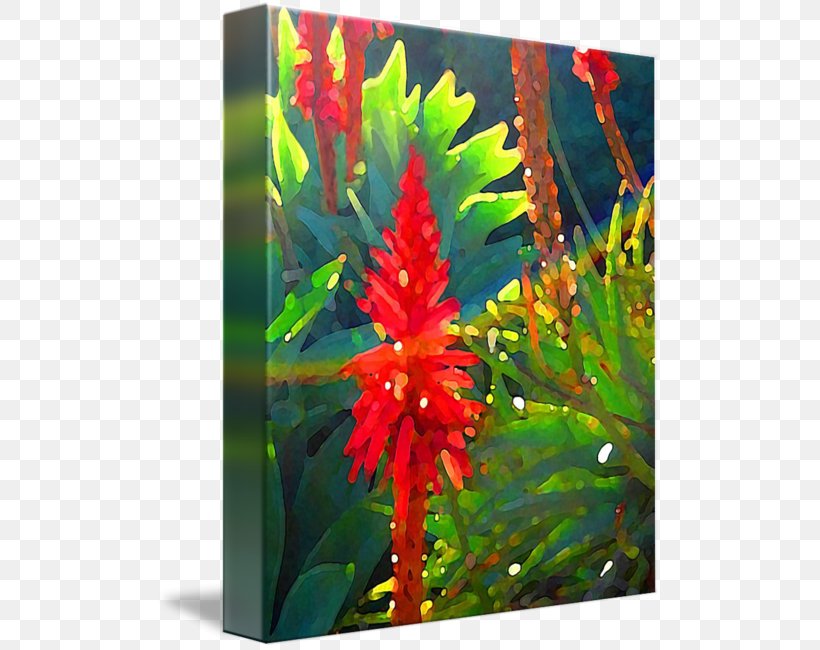 Canvas Art Flowering Plant Aquatic Plants, PNG, 505x650px, Canvas, Aquarium, Aquarium Decor, Aquatic Plant, Aquatic Plants Download Free