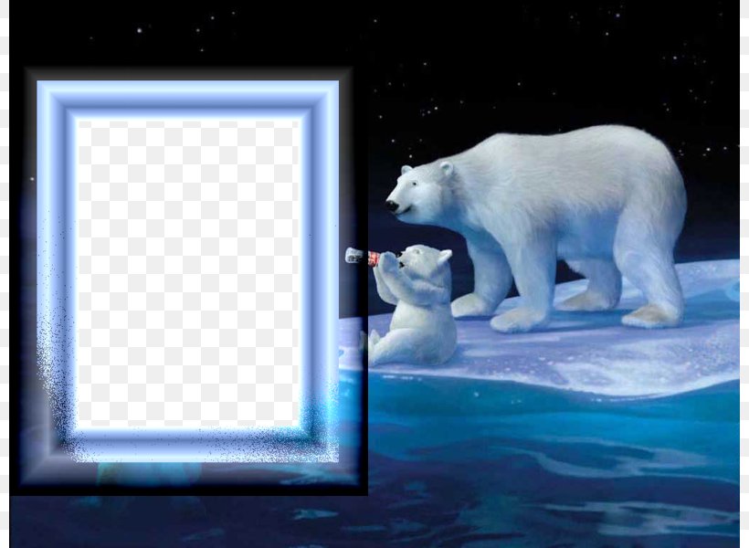 Coca-Cola Baby Polar Bear, PNG, 800x600px, Cocacola, Advertising, Arctic, Baby Polar Bear, Bear Download Free