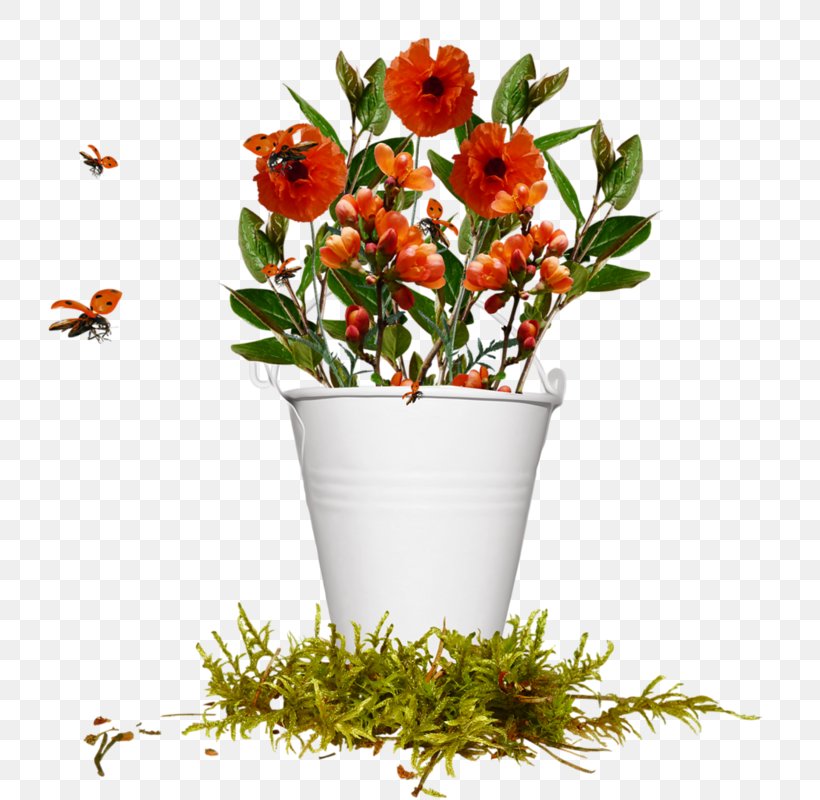 Floral Design Flower, PNG, 800x800px, Floral Design, Balcony, Cut Flowers, Floristry, Flower Download Free