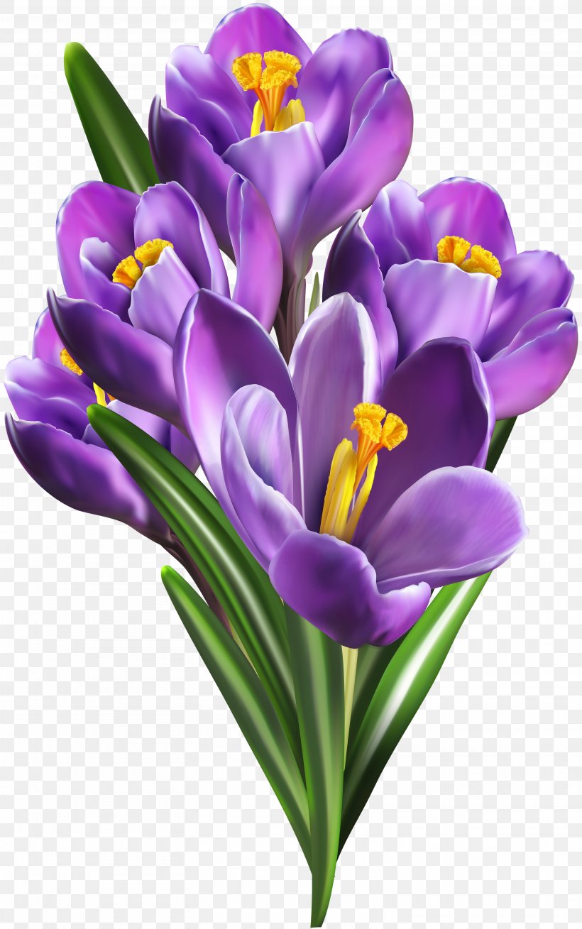 Image File Formats Lossless Compression, PNG, 3130x5000px, Flower, Art, Blue, Crocus, Cut Flowers Download Free