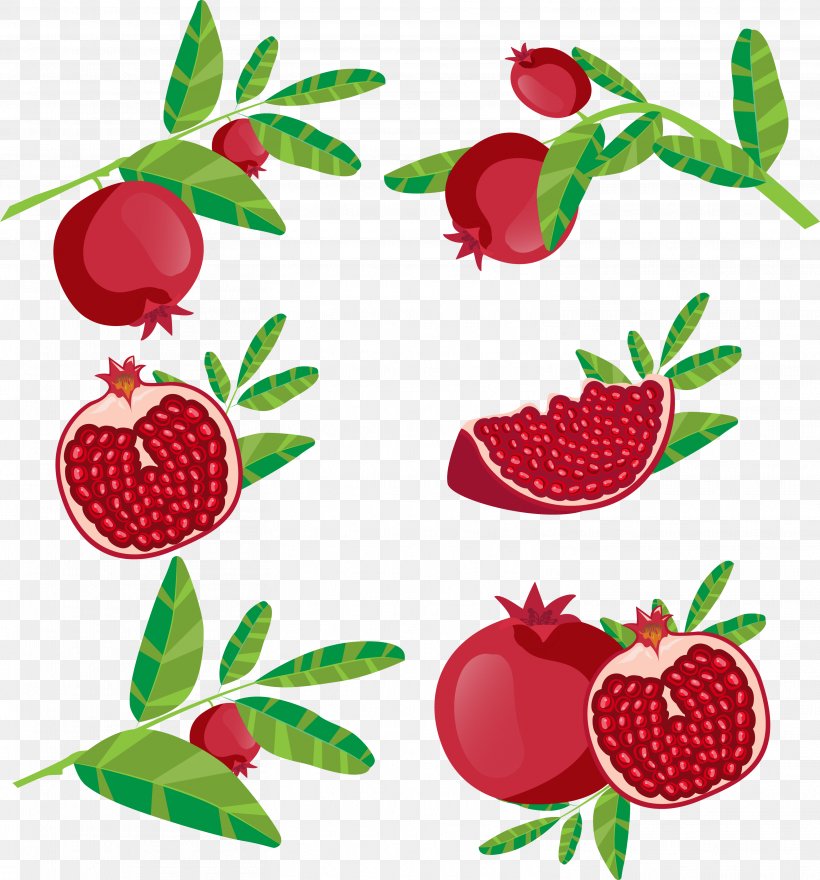 Pomegranate Juice Fruit Icon, PNG, 3123x3352px, Pomegranate Juice, Auglis, Berry, Branch, Cdr Download Free