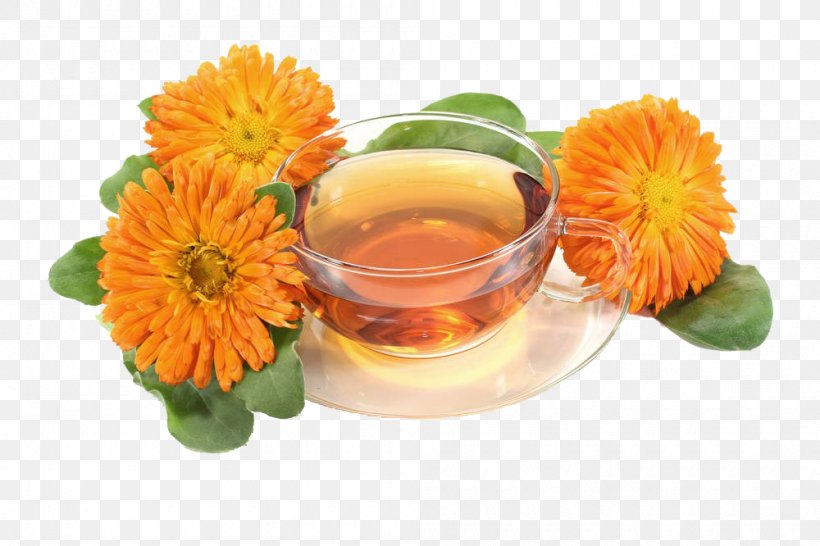 Tea Mexican Marigold Calendula Officinalis Flower, PNG, 1000x666px, Tea, Calendula, Calendula Officinalis, Cut Flowers, Dandelion Coffee Download Free