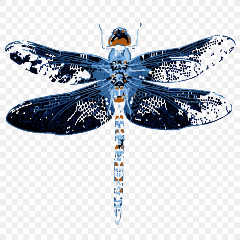 Butterfly Cartoon, PNG, 1200x1200px, Butterfly, Arthropod, Blue, Cobalt, Cobalt Blue Download Free