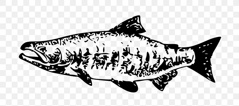Chum Salmon Chinook Salmon Sockeye Salmon Clip Art, PNG, 800x363px, Chum Salmon, Art, Black And White, Cartilaginous Fish, Chinook Salmon Download Free