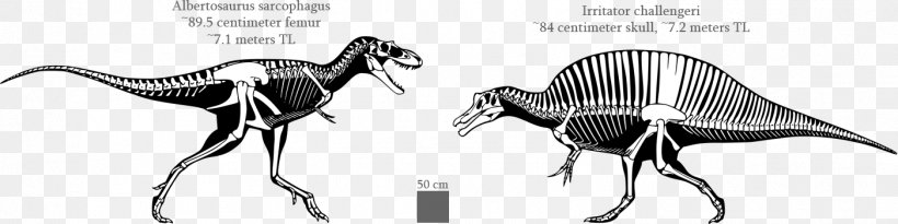 Albertosaurus Spinosaurus Irritator Gorgosaurus Baryonyx, PNG, 1402x352px, Albertosaurus, Albian, Animal Figure, Ankylosaurus, Artwork Download Free