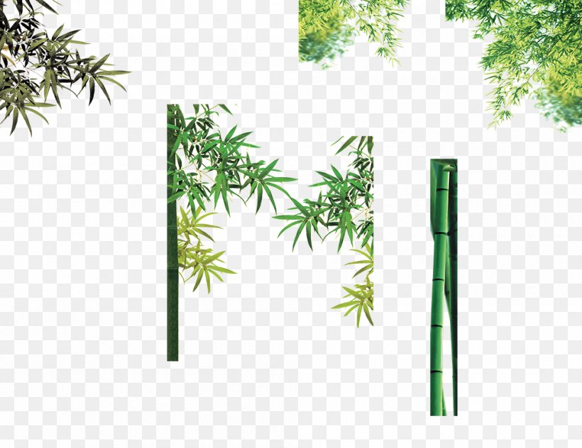Bamboo Bamboe Computer File, PNG, 1000x771px, Bamboo, Area, Bamboe, Flora, Grass Download Free