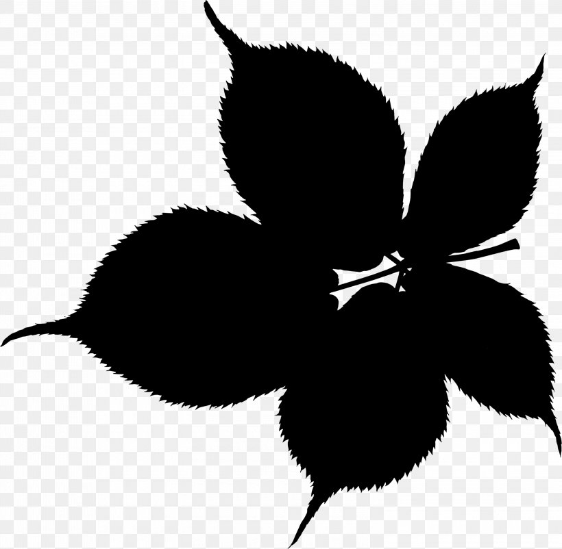 Flowering Plant Leaf Clip Art Plant Stem Silhouette, PNG, 3000x2936px, Flowering Plant, Black M, Blackandwhite, Botany, Branching Download Free