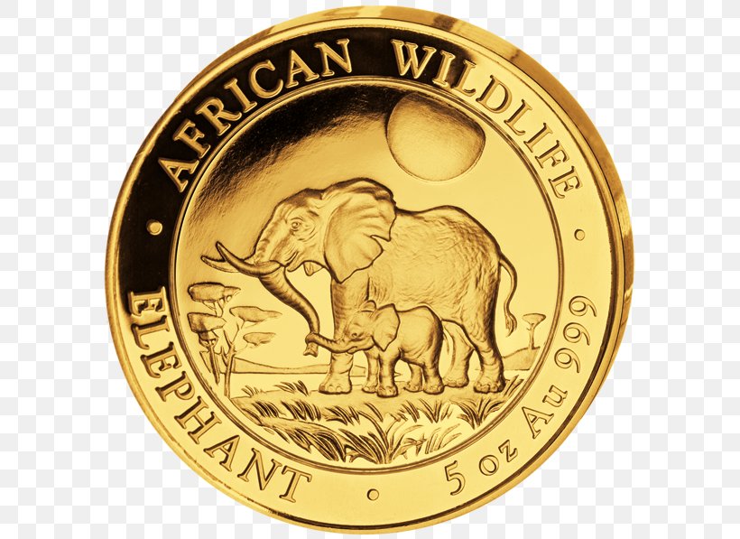 Somalia Gold Coin African Elephant Elephantidae, PNG, 600x597px, Somalia, African Elephant, Bullion, Bullion Coin, Coin Download Free