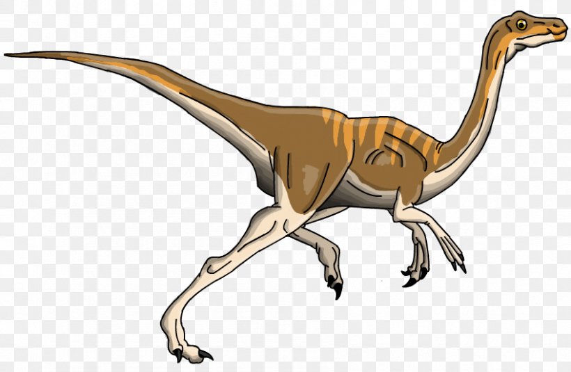 Velociraptor Tyrannosaurus Gallimimus Triceratops Brachiosaurus, PNG, 848x554px, Velociraptor, Allosaurus, Animal, Animal Figure, Brachiosaurus Download Free