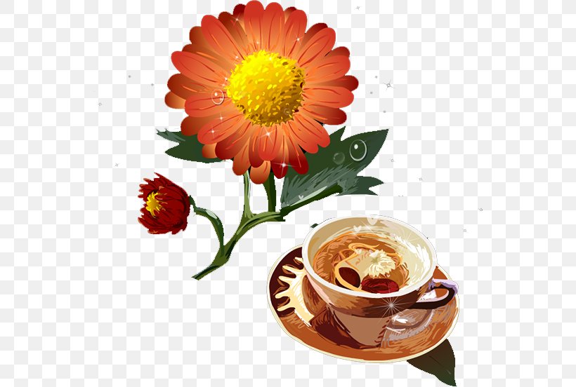 Chrysanthemum Transvaal Daisy, PNG, 554x552px, Chrysanthemum, Animation, Chrysanths, Coffee Cup, Cup Download Free