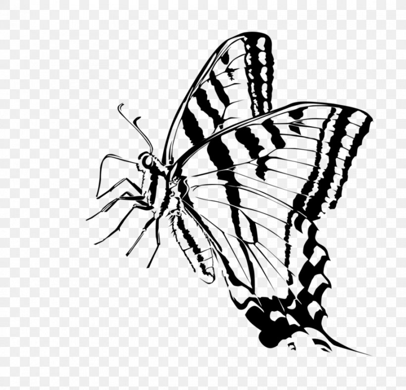 Monarch Butterfly Moth Brush-footed Butterflies Clip Art, PNG, 912x876px, Monarch Butterfly, Animal, Art, Arthropod, Artwork Download Free