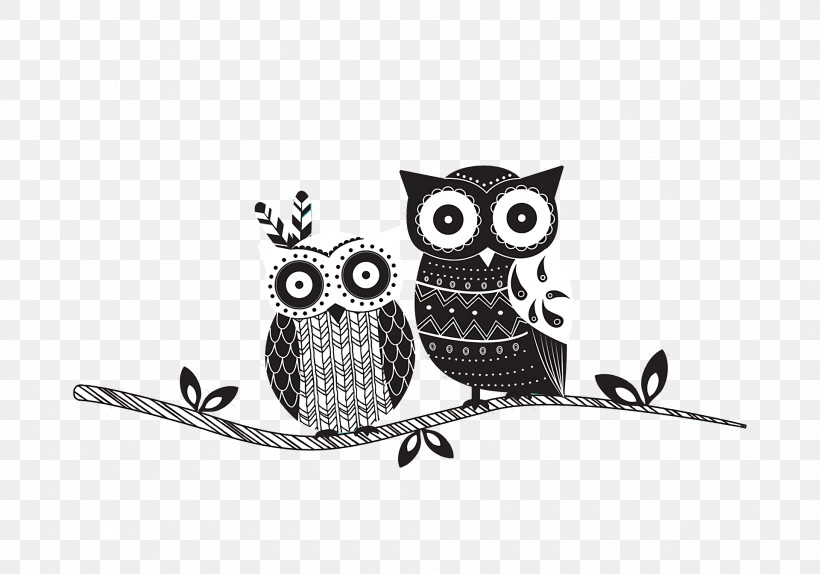 Owl M Font Beak Meter, PNG, 1920x1344px, Owl M, Beak, Meter Download Free