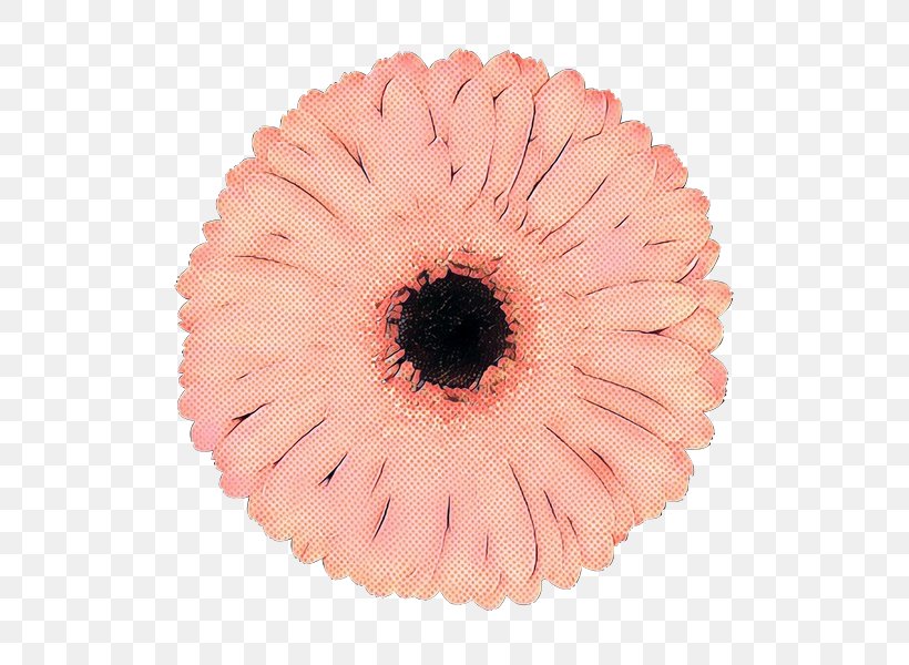 Pink Gerbera Eye Flower Plant, PNG, 600x600px, Pop Art, Eye, Flower, Gerbera, Petal Download Free