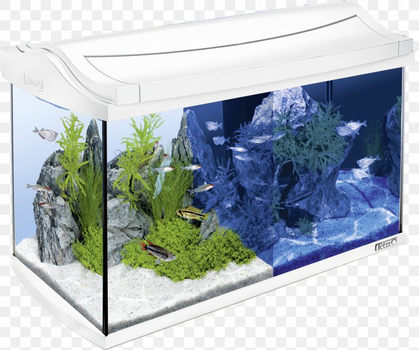 Tetra Light-emitting Diode LED Lamp Aquarium Innenfilter, PNG, 1702x1423px, Tetra, Akwarystyka Morska, Aquarium, Aquarium Decor, Aquarium Lighting Download Free