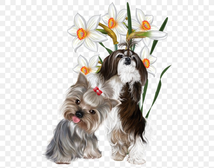 Clip Art Flower Vector Graphics Illustration Image, PNG, 512x645px, Flower, Biewer Terrier, Carnivoran, Companion Dog, Daffodil Download Free