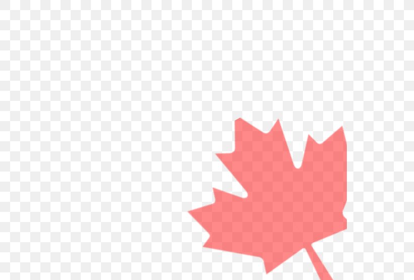 Flag Of Canada Maple Leaf Clip Art, PNG, 555x555px, Canada, Canada Day, Flag Of Canada, Flowering Plant, Hand Download Free