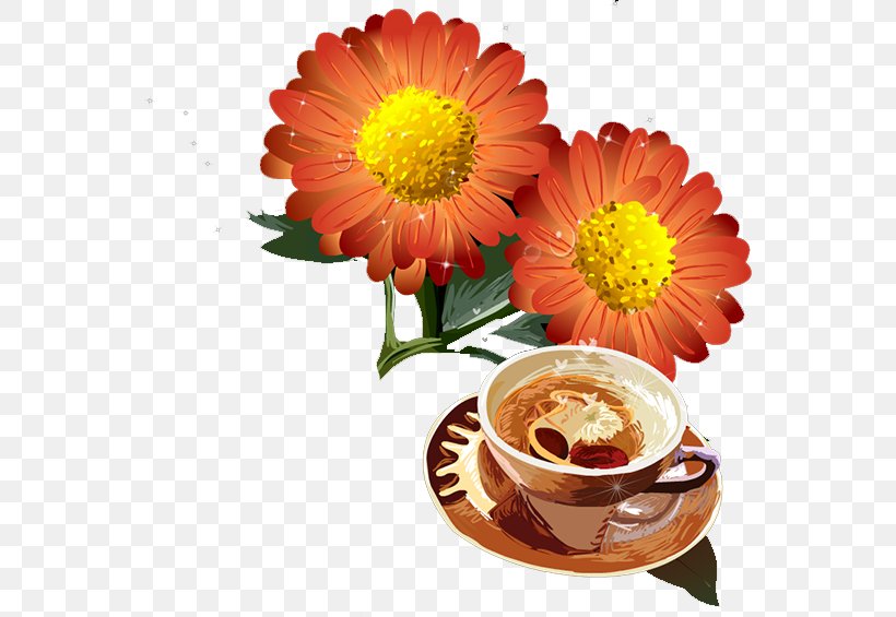 Chrysanthemum Transvaal Daisy Flower, PNG, 556x565px, Chrysanthemum, Chrysanths, Cup, Cut Flowers, Daisy Download Free