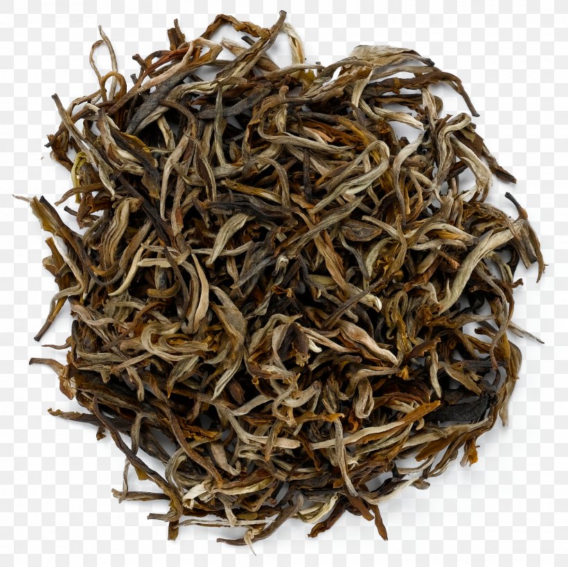 Darjeeling Tea Nilgiri Tea White Tea Dianhong, PNG, 1600x1600px, Darjeeling Tea, Assam Tea, Bai Mudan, Baihao Yinzhen, Bancha Download Free