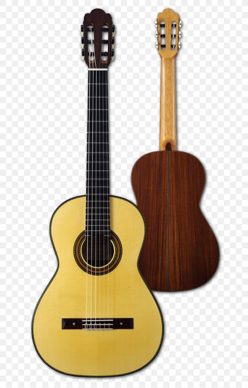 Acoustic Guitar Bass Guitar Tiple Cuatro Cavaquinho, PNG, 696x1281px, Watercolor, Cartoon, Flower, Frame, Heart Download Free