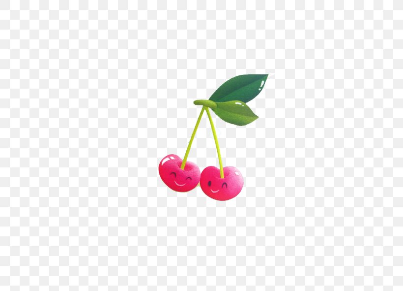 Cherry Cartoon Drawing, PNG, 591x591px, Cherry, Animation, Cartoon, Designer, Dos Download Free