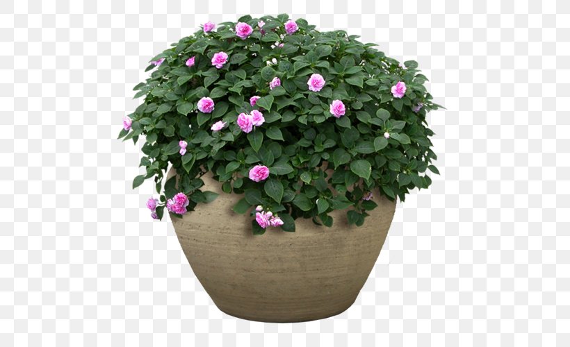 Flowerpot Flower Garden Shrub, PNG, 500x500px, Flowerpot, Annual Plant, Busy Lizzie, Flower, Flower Garden Download Free