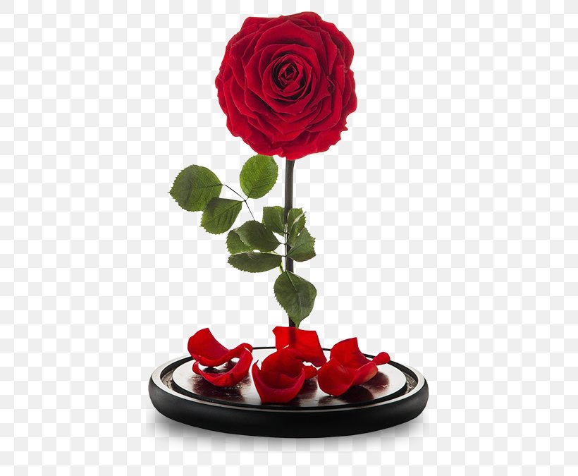 Garden Roses Cut Flowers Flower Bouquet Floral Design, PNG, 521x675px, Garden Roses, Artificial Flower, Belarus, Centrepiece, Cut Flowers Download Free