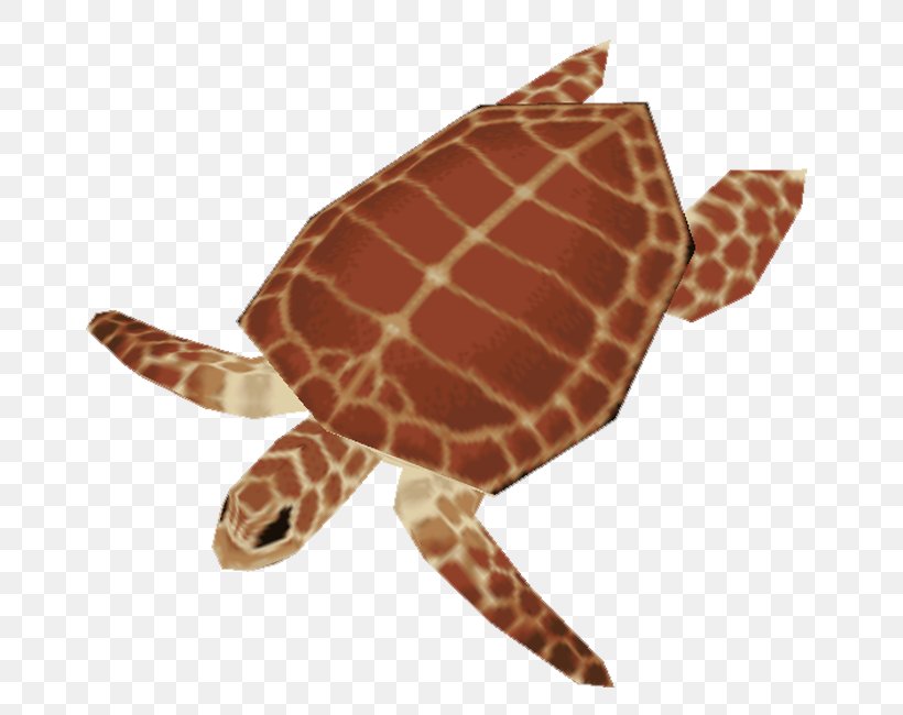 Loggerhead Sea Turtle Reptile Animal, PNG, 750x650px, Loggerhead Sea Turtle, Animal, Caretta, Cat, Green Sea Turtle Download Free
