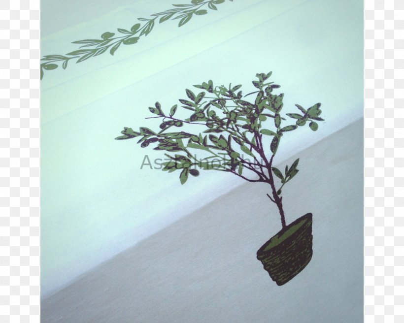 Twig Flowerpot Bonsai, PNG, 1000x800px, Twig, Bonsai, Branch, Flowerpot, Houseplant Download Free