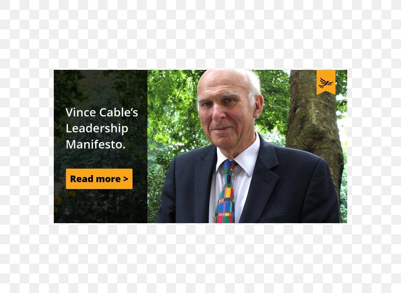 Vince Cable United Kingdom Member Of Parliament Leader Of The Liberal Democrats, PNG, 600x600px, Vince Cable, Business, Elder, Energy, Grass Download Free