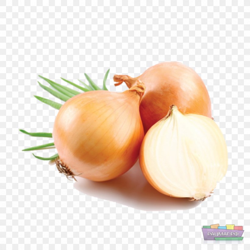 Allium Fistulosum Garlic Chives Shallot Vegetable, PNG, 1000x1000px, Allium Fistulosum, Alliaceae, Allium, Bulb, Celery Download Free
