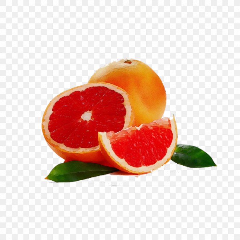 Citrus Fruit Grapefruit Food Tangerine, PNG, 1080x1080px, Watercolor, Citric Acid, Citrus, Clementine, Food Download Free