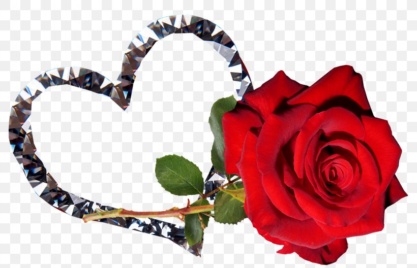 Garden Roses, PNG, 1280x825px, Rose, Flower, Garden Roses, Heart, Love Download Free