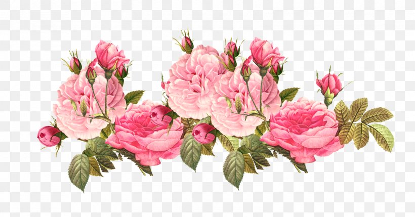Pink Flowers Rose Clip Art, PNG, 1600x839px, Flower, Azalea, Blossom, Branch, Cut Flowers Download Free