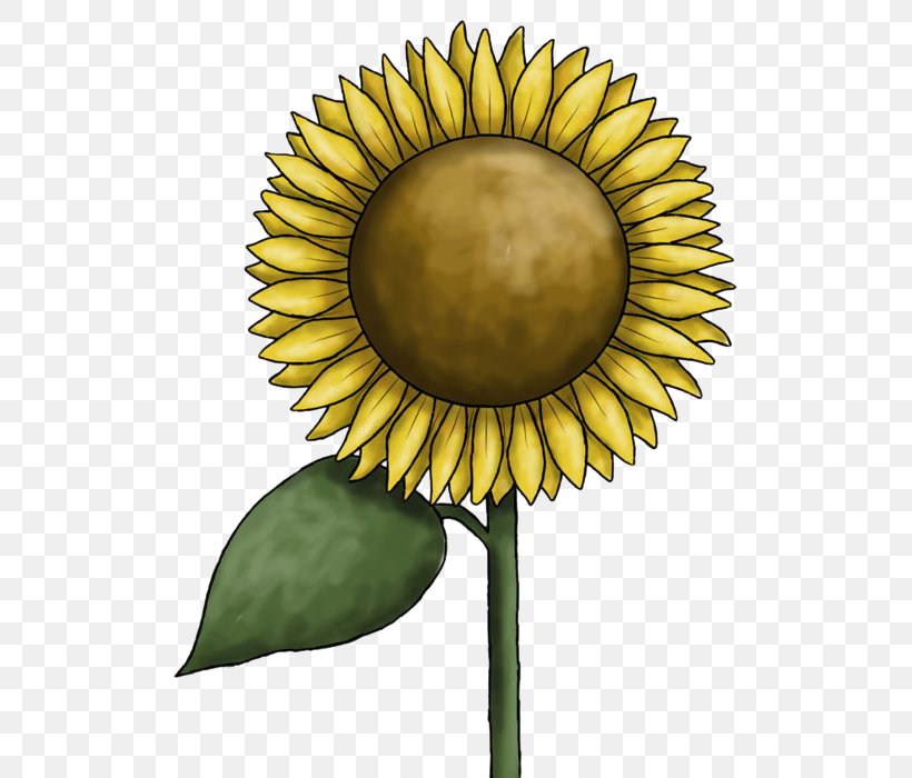 Common Sunflower Clip Art, PNG, 580x700px, Common Sunflower, Blog, Daisy Family, Flower, Flowering Plant Download Free