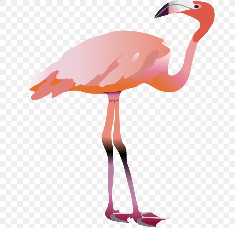 Water Bird Beak Flamingo Animal, PNG, 679x794px, Bird, Animal, Atmosphere, Automated Teller Machine, Beak Download Free