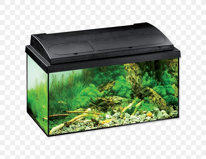 Aquatlantis Aquarium Advance LED 60 Eheim Tetra Liter, PNG, 635x635px, Aquarium, Animal, Aquarium Filters, Eheim, Fish Download Free