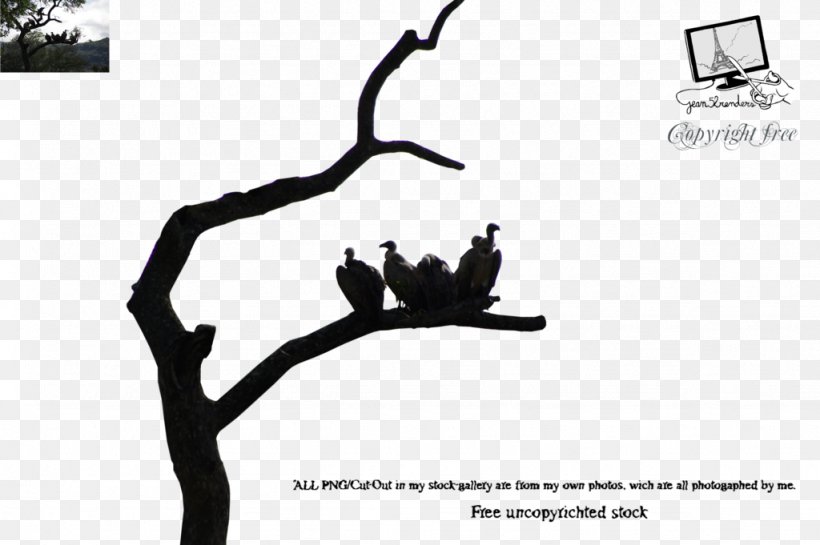DeviantArt Stock Photography, PNG, 1024x681px, Deviantart, And Then There Were None, Black And White, Branch, Brand Download Free