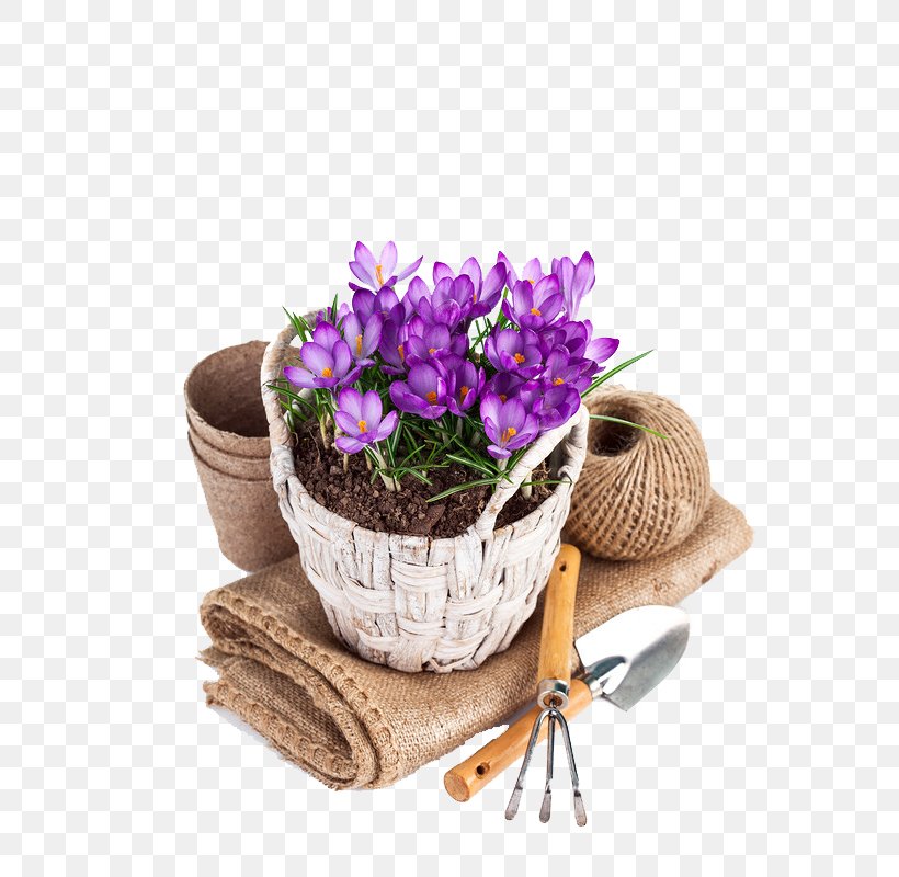 Flowerpot Garden Desktop Wallpaper Image Photography, PNG, 599x800px, Flowerpot, Artificial Flower, Bonsai, Cut Flowers, Flower Download Free