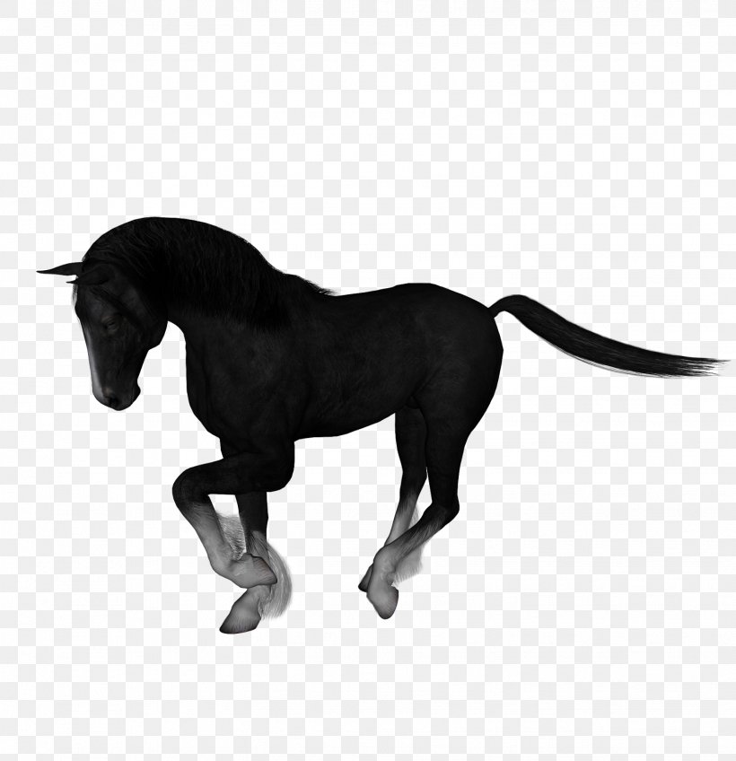 Mustang Stallion Mare Pony Rein, PNG, 1547x1600px, Mustang, Animal, Animal Figure, Black, Black And White Download Free