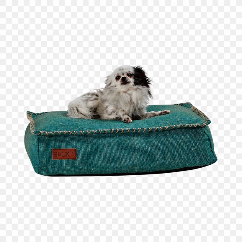 Dog Breed Pet Furniture Bean Bag Chair, PNG, 1024x1024px, Dog, Aqua, Bean Bag Chair, Bed, Cat Download Free